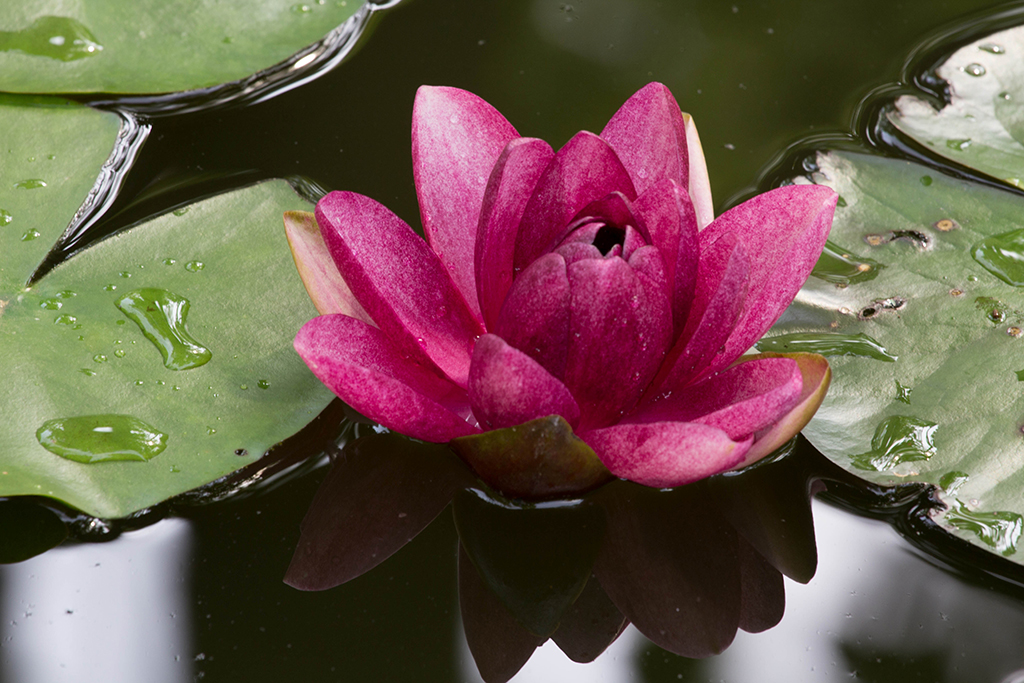 Moggy Hollow Hunterdon County, NJ